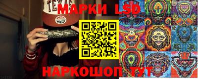 ECSTASY Новодвинск