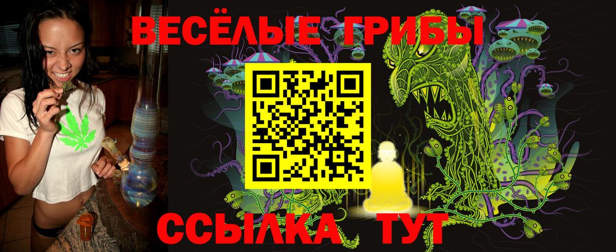 Галлюциногенные грибы мухоморы  Псилоцибиновые грибы GOLDEN TEACHER  Тара  купить   Вход с VPN 