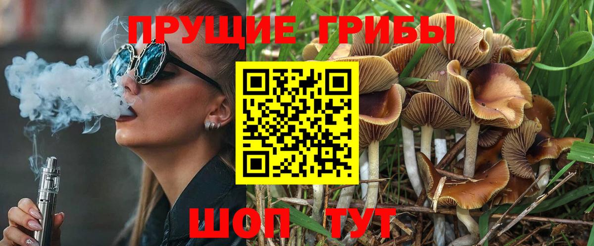 Галлюциногенные грибы Magic Shrooms Тара
